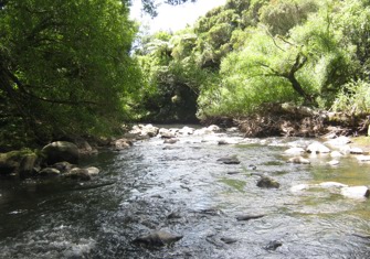 Waiongana SH3A
