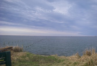 Wainono Lagoon